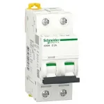 کلید مینیاتوری اشنایدر iC60H D 2A دو پل | A9F85202 اصل